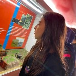 WhatsApp Image 2022-10-13 at 16.08.11