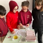 WhatsApp Image 2022-10-18 at 14.43.35