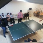 Masa Tenisi Turnuvamımız