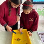 WhatsApp Image 2022-12-29 at 13.25.12 (1)