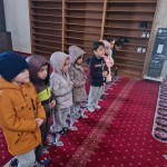 e7aa259f-282e-4000-9805-034f70407916