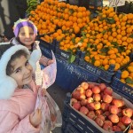 5e78630c-ca19-40e7-b6ba-bc6fcf438c78