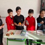 WhatsApp Image 2023-01-03 at 11.29.18