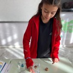 WhatsApp Image 2023-01-03 at 11.29.18 (2)