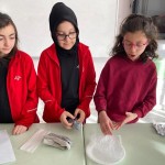 WhatsApp Image 2023-01-03 at 11.29.18 (3)