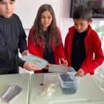 WhatsApp Image 2023-01-03 at 11.29.18 (4)