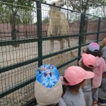 51573182-498b-44c8-b600-ff506865f036