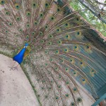 7e9c3bfa-1235-4146-994c-e5f426aa1da7