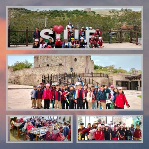 GridArt_20230524_104854539