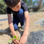 WhatsApp Image 2023-05-18 at 11.32.53 (1)