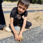 WhatsApp Image 2023-05-18 at 11.32.54 (2)