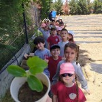 WhatsApp Image 2023-05-18 at 11.38.25