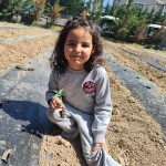 WhatsApp Image 2023-05-18 at 11.45.07