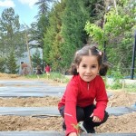 WhatsApp Image 2023-05-18 at 11.52.46