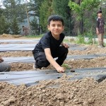 WhatsApp Image 2023-05-18 at 11.52.47