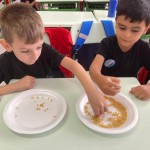 WhatsApp Image 2023-09-13 at 22.22.44