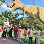 d24e44d2-2077-4554-a32c-cbe7a2595589