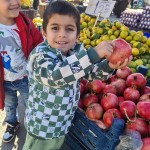 3fe50f01-cdc0-43d5-9c89-8c223eb96934