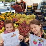 63abd943-3fe6-43f9-8e9a-2e3e3aebc882