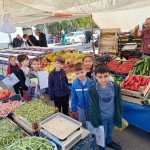 6b2d6bd6-55cb-4525-bf22-39b9f6f39b3c