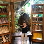 WhatsApp Image 2024-01-04 at 15.06.27