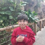 WhatsApp Image 2024-01-04 at 15.09.40