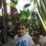 WhatsApp Image 2024-01-04 at 15.19.15