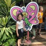 WhatsApp Image 2024-01-04 at 15.25.10