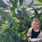 WhatsApp Image 2024-01-04 at 15.25.42