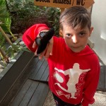 WhatsApp Image 2024-01-04 at 15.26.20