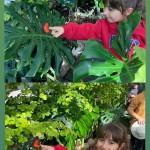 WhatsApp Image 2024-01-04 at 15.26.50