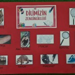 WhatsApp Image 2024-01-05 at 11.57.44