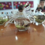 WhatsApp Image 2024-01-16 at 16.16.05