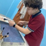 WhatsApp Image 2024-10-18 at 08.51.30 (4)