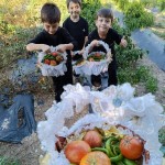 WhatsApp Image 2024-10-18 at 09.26.05 (3)