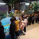 WhatsApp Image 2024-11-21 at 21.19.48 (1)