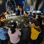 WhatsApp Image 2024-11-21 at 21.19.48