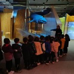 WhatsApp Image 2024-11-21 at 21.19.48 (2)