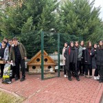 WhatsApp Image 2024-12-06 at 09.45.54