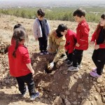 WhatsApp Image 2025-03-27 at 21.28.49