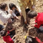 WhatsApp Image 2025-03-27 at 21.28.50 (1)