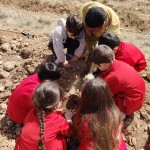 WhatsApp Image 2025-03-27 at 21.28.50