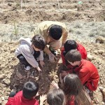 WhatsApp Image 2025-03-27 at 21.28.50 (2)