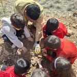 WhatsApp Image 2025-03-27 at 21.28.50 (3)