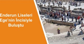 site banner1