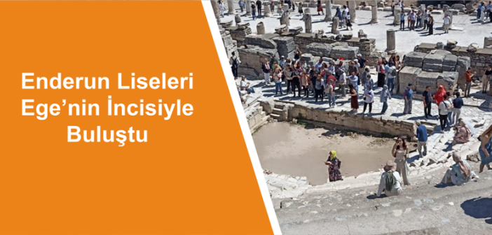 site banner1