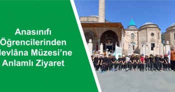 site banner1
