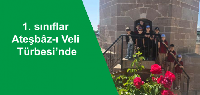 site banner1