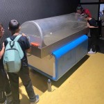 WhatsApp Image 2025-10-17 at 10.03.52 (1)