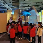 WhatsApp Image 2025-10-22 at 18.03.16